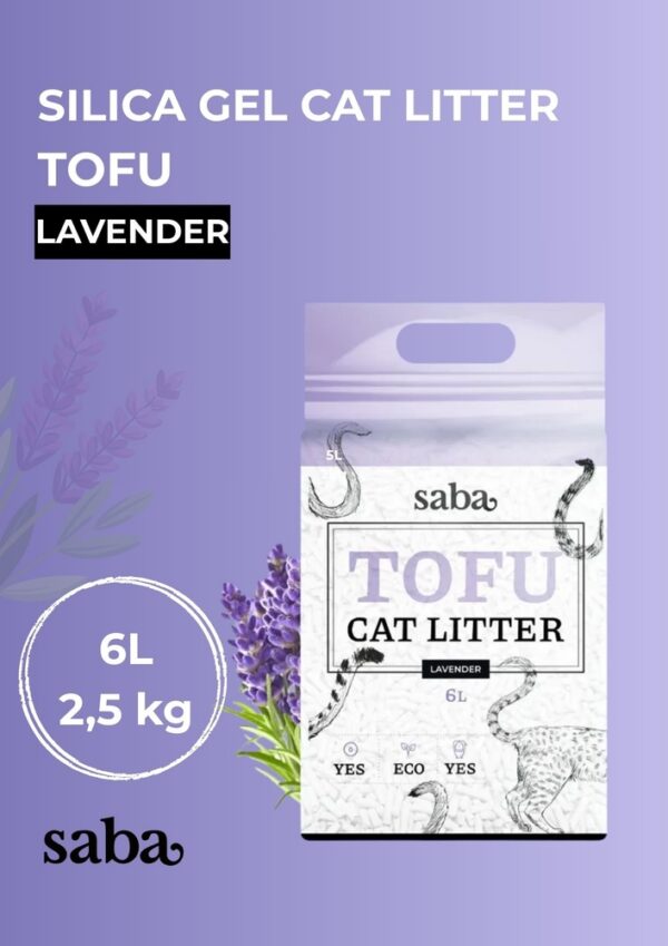 SABA-Cards-ENG-1